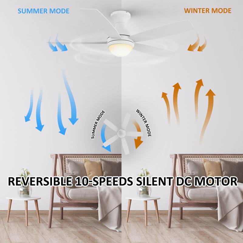 52'' Ceiling Fan with LED Lights, White
