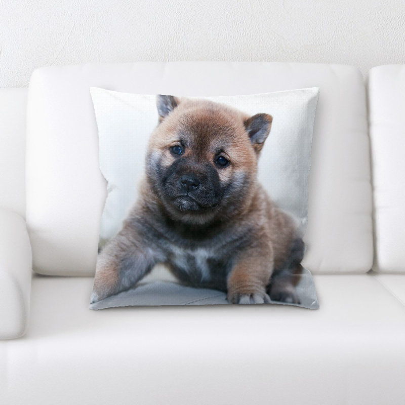 Coussin pour chien