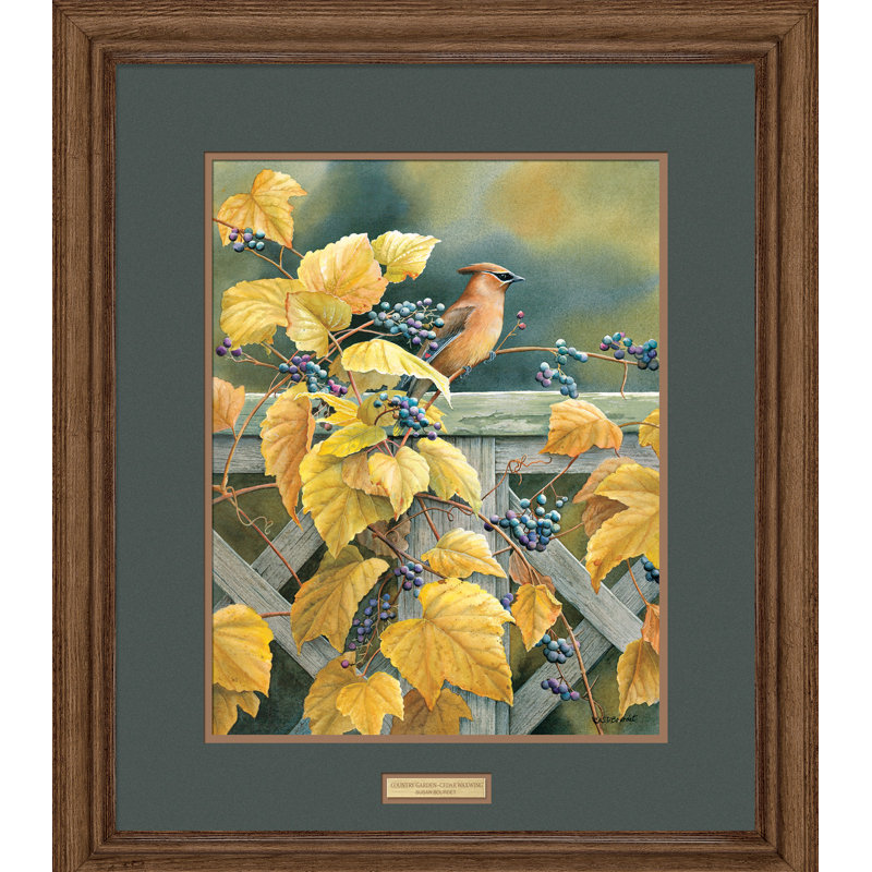 Susan Bourdet - Single Picture Frame Print