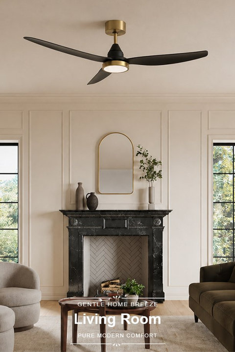 Living Room Ceiling Fan