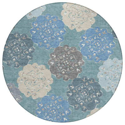 Machine Washable Indoor/Outdoor Chantille ACN2353 Casual Rug