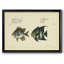 «Bloch Antique Fish II», reproduction d'un seul cadre photo sur toile-148147993-148147992
