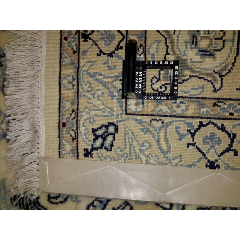 Orlean Oriental Area Rug in Beige