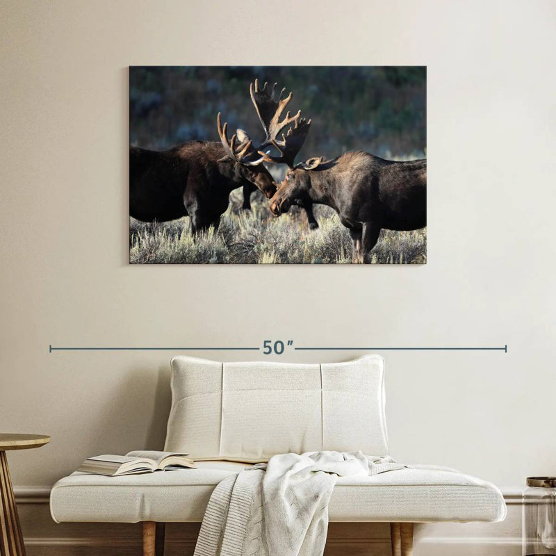Orignal à Grand Teton, H 26 po x l 39 po