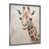 Silver Single Picture Framed