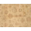 Oriental Area Rug