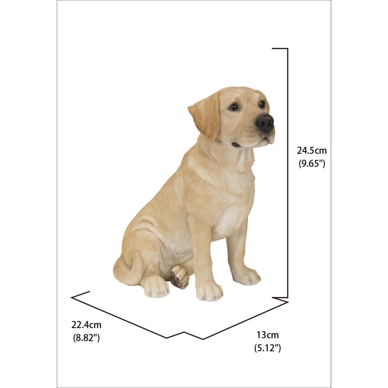  Statue chien retriever du Labrador jaune 9 po H