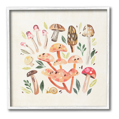 Champignons fantaisistes et escargot