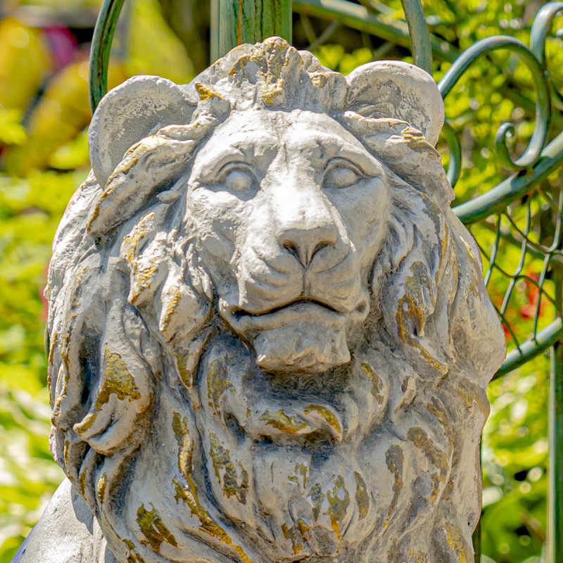 Statue de lion 2 pièces Nenzel, Gris antique / blanc