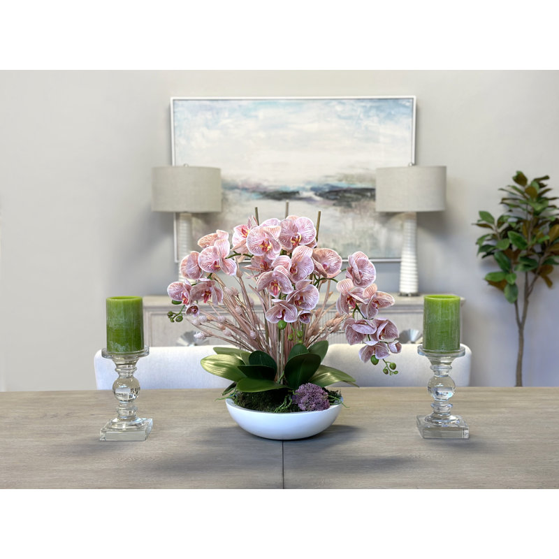 Orchidées disposées en pot de fibres
