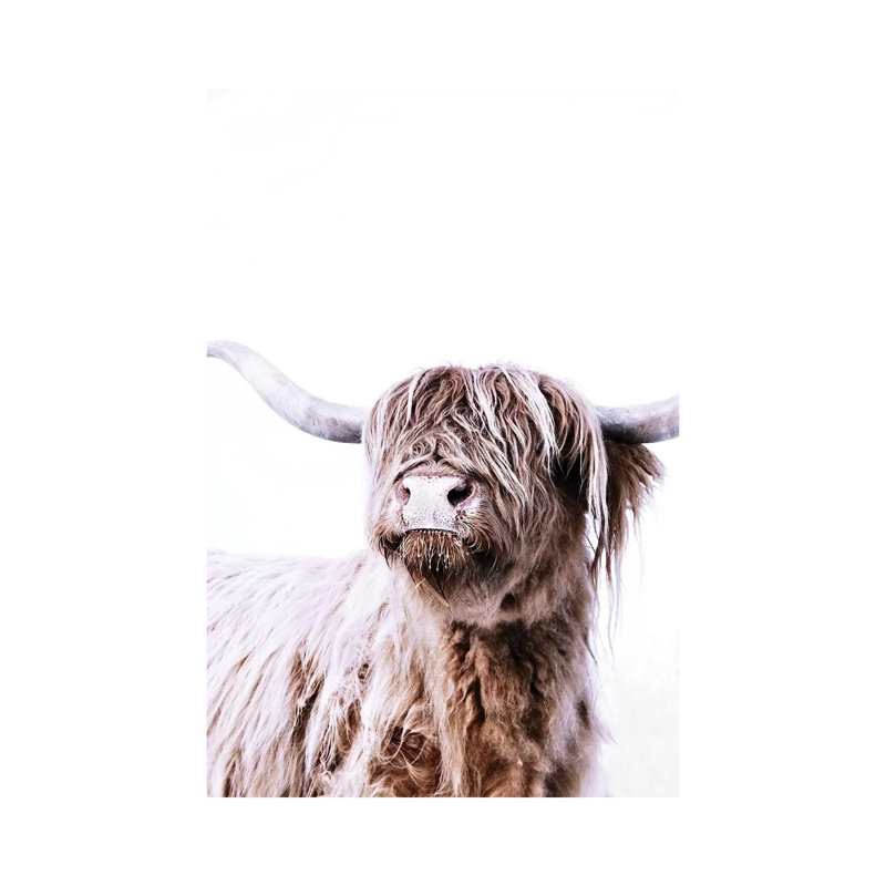 Highland Cattle Frida by Monika Strigel - Print on Canvas, Wrapped Canvas, 66.04 cm H x 45.72 cm W x 3.175 cm D