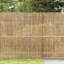 Bamboo Fence