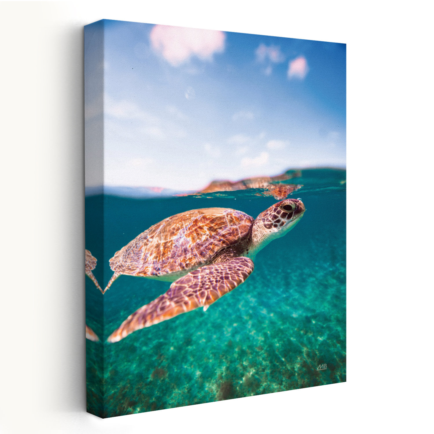 Bay Isle Home™ Surfacing Contemporary Animal Ocean Photography ...