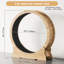 Roue d'exercice moderne 43,3 po