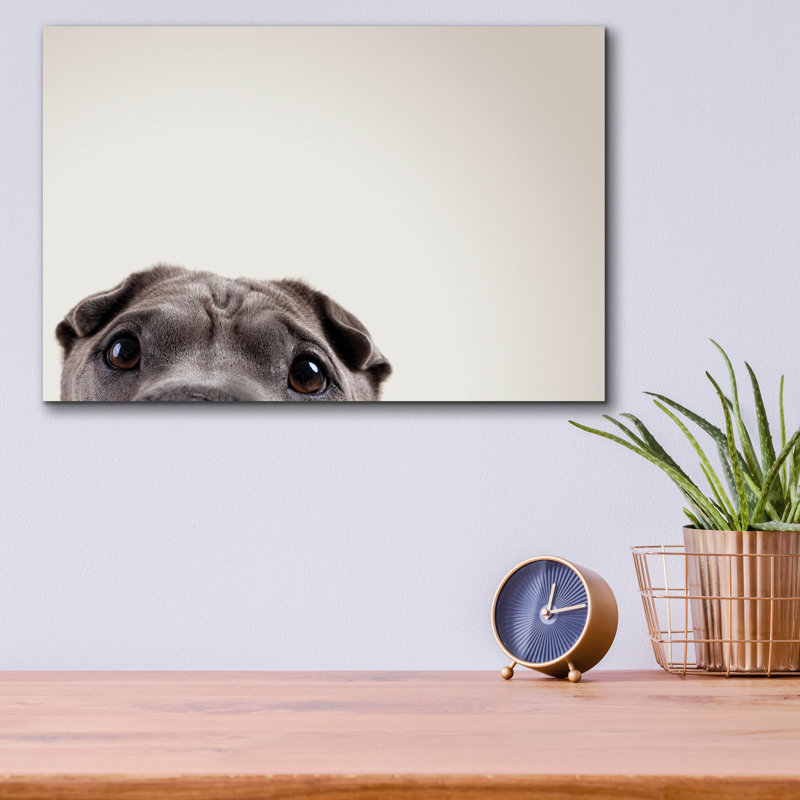 Art mural en acrylique Ebern Designs «Pelei's Eyes» par Susan Sabo, H 12 po x l 16 po x P 0,13 po