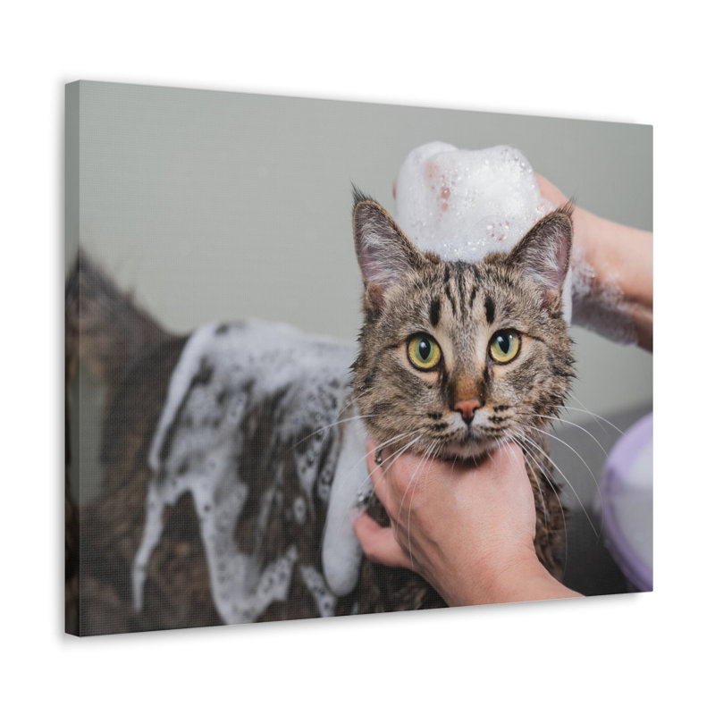 No Frame Print on Canvas, 16cm H x 20cm W