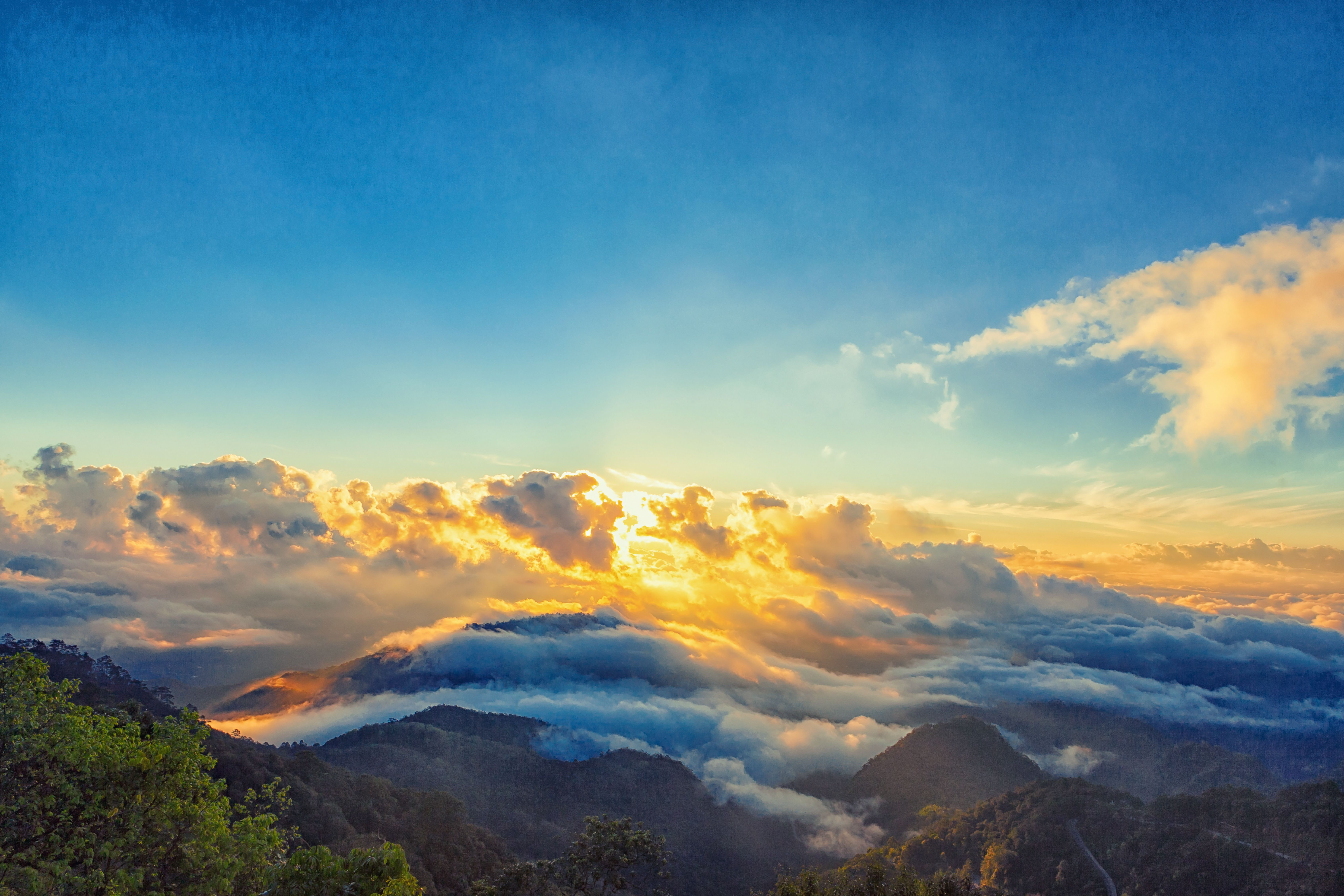 Millwood Pines Beautiful Misty Morning Sunrise by - Wrapped Canvas ...