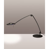 Radius Adjustable Metal Desk Lamp