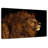 Brampt Marvelous Lion Head-108690077