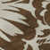 Premium Machine Washable Cerrito AMF551 Brown Rug