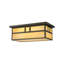 2 - Light Flush Mount