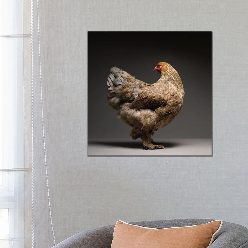 Brahma by CHICken - Wrapped Canvas Print, 66.04 cm H x 66.04 cm W x 1.91 cm D