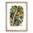 Red-Bellied Squirrels by J.W. Audubon - Picture Frame Painting Print-55771885-55771883
