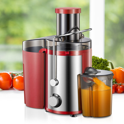 J-XIN Trading Co., Limited 800W 2 Speed Electric Centrifugal Juicer