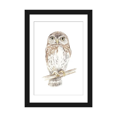« northern pygmy hibou », impression sur toile