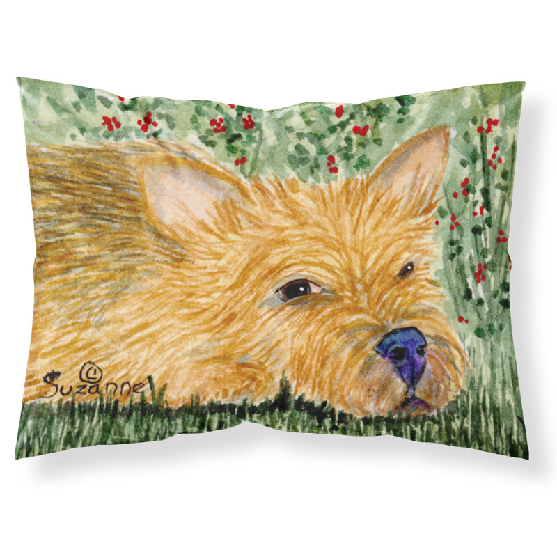 Norwich Terrier Microfiber