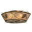 Whispering Pines 4 - Light Flush Mount