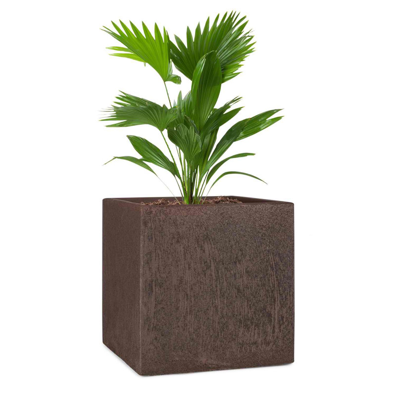 Planter, 41cm H x 40cm W x 40cm D