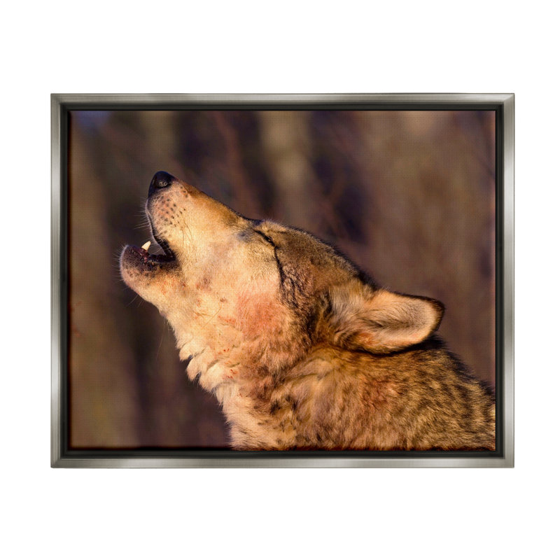 "Stupell Industries Howling Wolf", art mural sur toile par Lisa Dearing, H 17 po x l 21 po x P 1,7 po