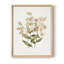 Motif floral rétro - imprimé encadré-1195045392-1195045397