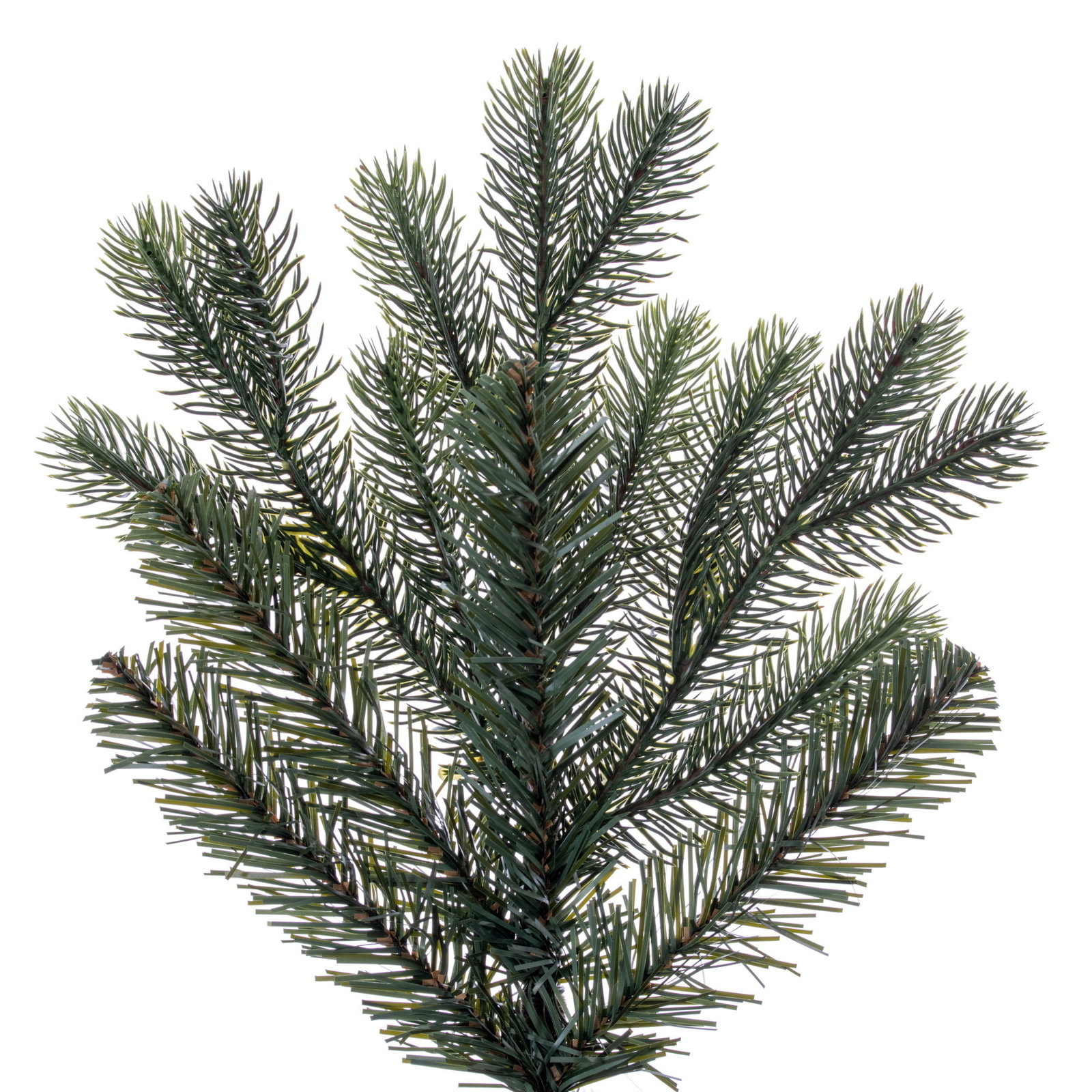 Douglas Fir Christmas Tree, Unlit, 6.5' x 56"