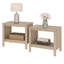 Ensemble de 2 supports à plantes-1068393795