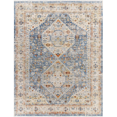 Oriental Indoor Rug