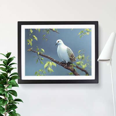 Luscious Dove Bird - Single Picture Frame Print