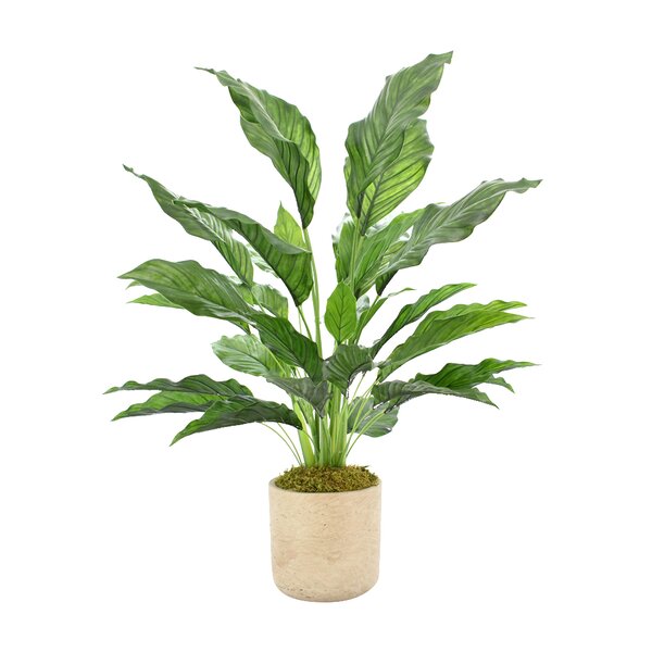 Creative Displays, Inc. Faux Foliage Plant in Fiberstone Pot | Perigold