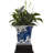 Chow Handmade Ceramic Planter