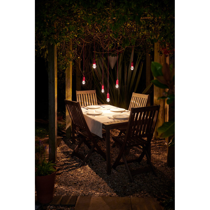 Holiday Lighting, Pink