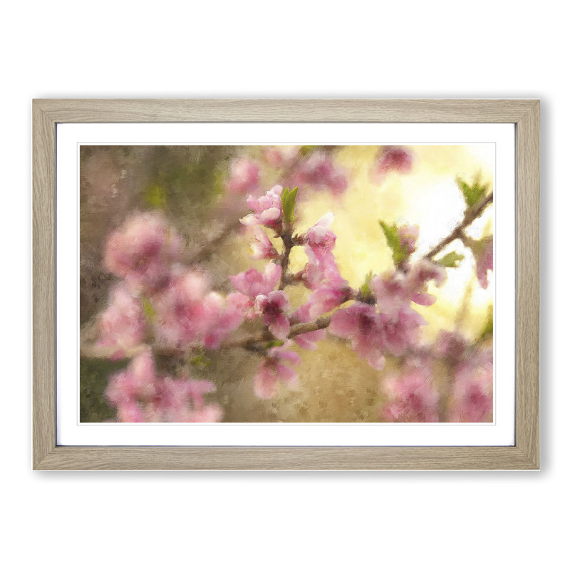 Cherry Blossom Flowers - Framed Print, 27cm H x 36cm W x 2cm D, Oak Framed