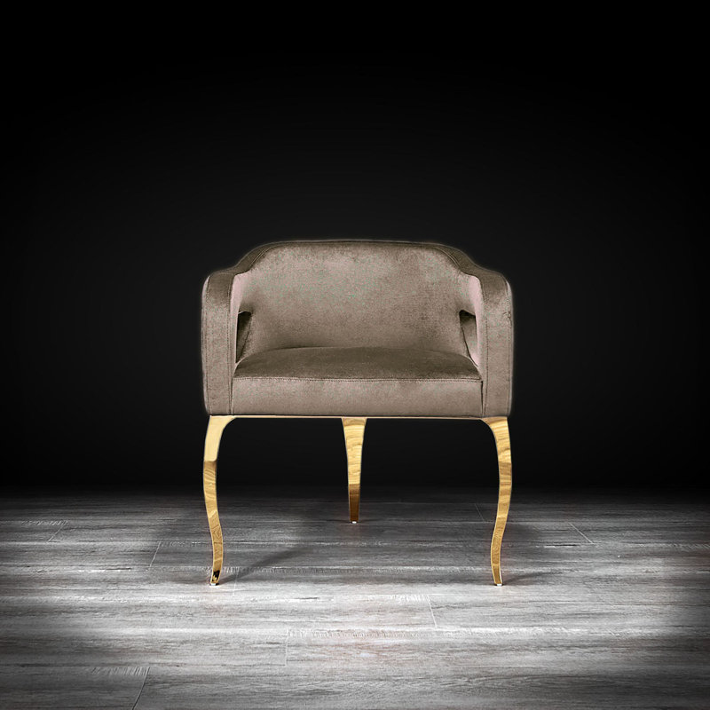 Iseminger 19'' H Velvet Upholstered Armchair, Titanium Golden, Taupe