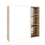 Armoire de salle de bain avec miroir