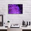 «Striped Long Tentacle Anemone» par Epic Portfolio, art mural sur toile-1287144973