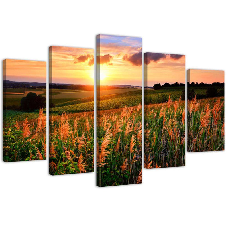 Sunset Flowers Meadow - 5 Piece No Frame Set on Canvas