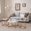 Advay Coffee Table