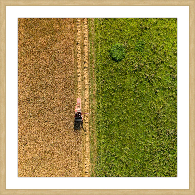 Single Picture Frame Print, 41 cm H x 41 cm W x 3.81 cm D