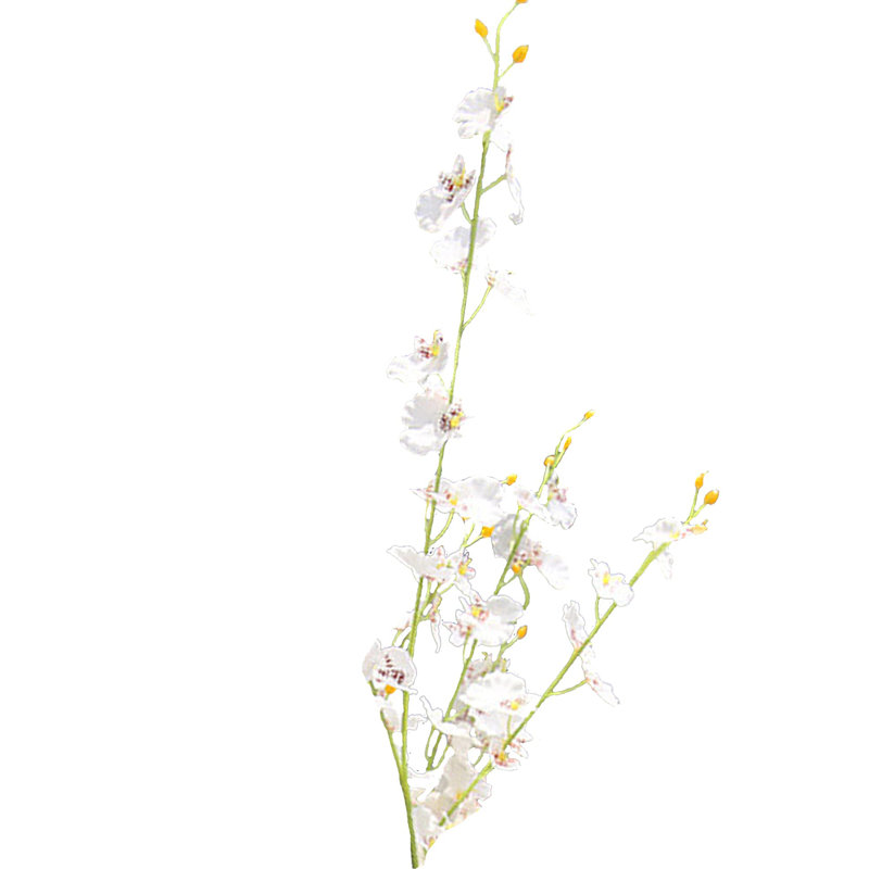 Faux Silk Orchid Arrangement, White