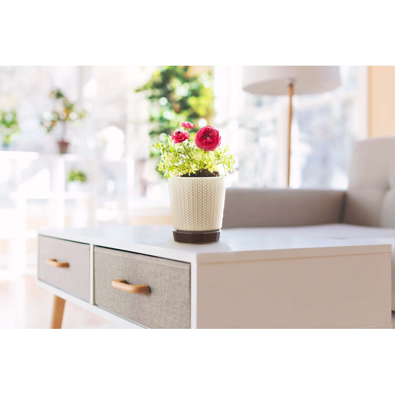 Light Brown and Dark Base Ceramic Pot Planter